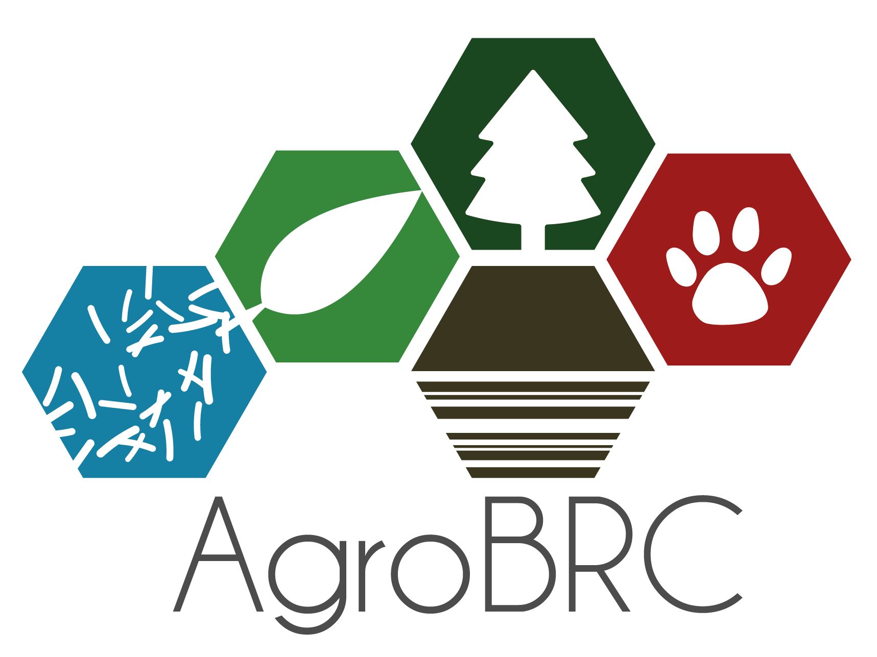 Logo AgroBRC RARe