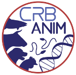 logo CRB ANIM 150