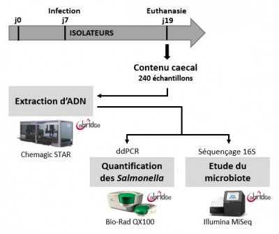 Biologie intégrative de l’étude de la résistance aux ... Image 1