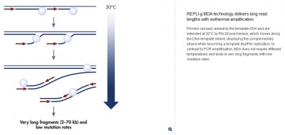 Test du kit Repli-g (WGA) de QIAGEN Image 1